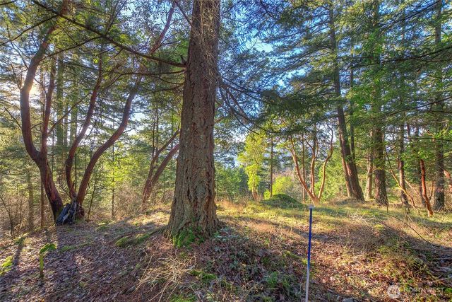 558 Buck Mt. Road, Orcas Island, WA 98245