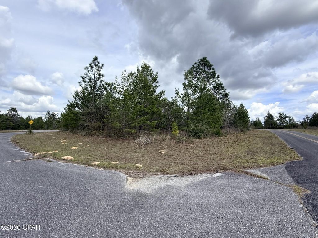 XXX Noah Court, Chipley, FL 32428