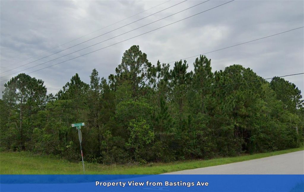 Image 8 of property listing at Lot 85 MEREDITH PARKWAY, Orlando, FL 32833