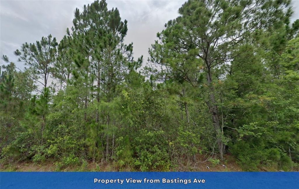 Image 10 of property listing at Lot 85 MEREDITH PARKWAY, Orlando, FL 32833
