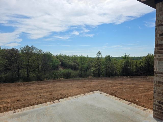 81 Summer Sky Drive, Greenbrier, AR 72058