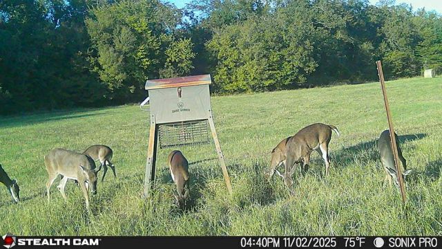 684 County Road 473, Lott, TX 76656