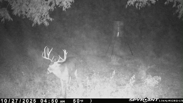 684 County Road 473, Lott, TX 76656