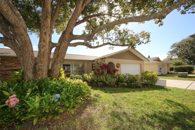 45 TURNSTONE DRIVE, Safety Harbor, FL 34695