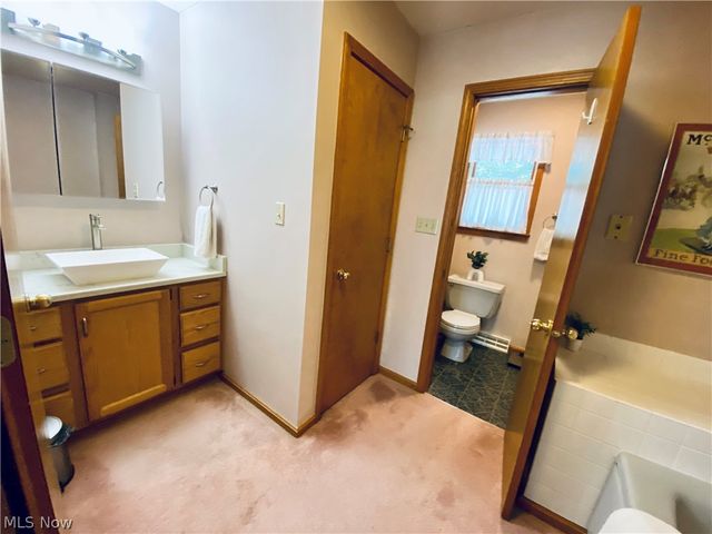 869 MOSS CANYON Drive, Amherst, OH 44001