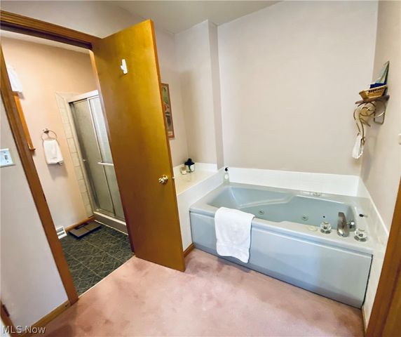869 MOSS CANYON Drive, Amherst, OH 44001