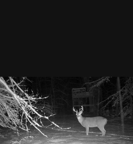 2244 19 Mile Road, Kent City, MI 49330