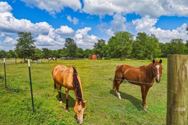 2325 Skrivanek Road, San Felipe, TX 77474