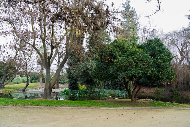 41339 Road 52, Reedley, CA 93654