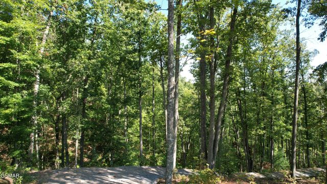 TR1-C Sulpher Springs Way, Sevierville, TN 37862