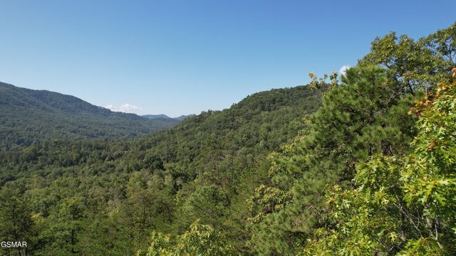 TR1-C Sulpher Springs Way, Sevierville, TN 37862