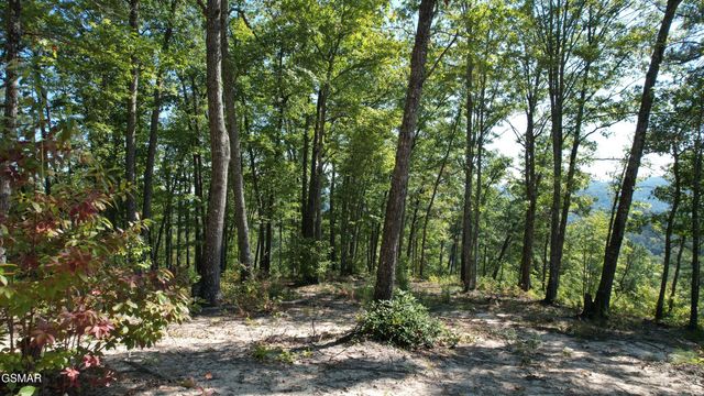 TR1-C Sulpher Springs Way, Sevierville, TN 37862
