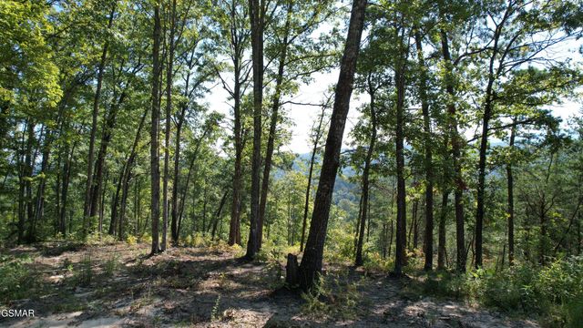 TR1-C Sulpher Springs Way, Sevierville, TN 37862