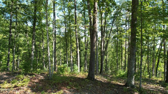 TR1-C Sulpher Springs Way, Sevierville, TN 37862