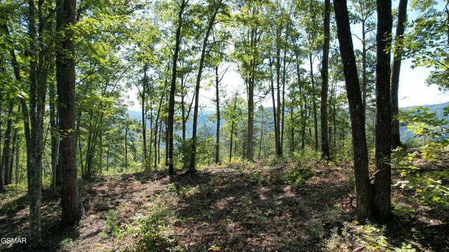 TR1-C Sulpher Springs Way, Sevierville, TN 37862