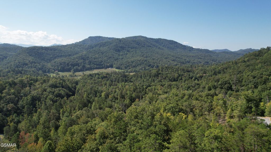 TR1-C Sulpher Springs Way, Sevierville, TN 37862