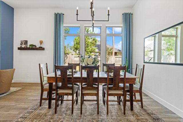 607 Starlit Sky Court, Willis, TX 77318