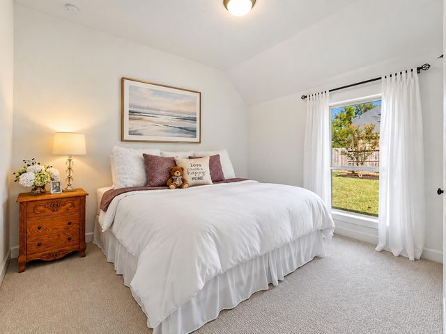 607 Starlit Sky Court, Willis, TX 77318
