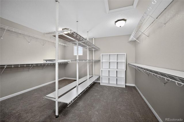 22980 Hope Dale Avenue, Parker, CO 80138