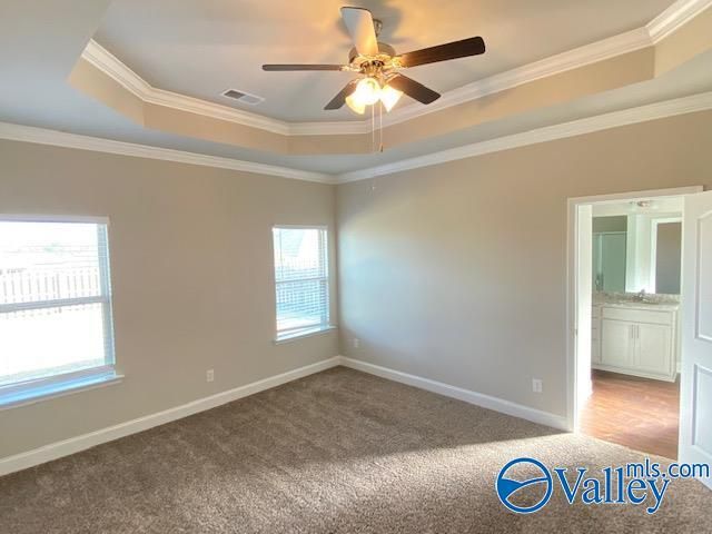 311 River Rock Drive, Madison, AL 35756