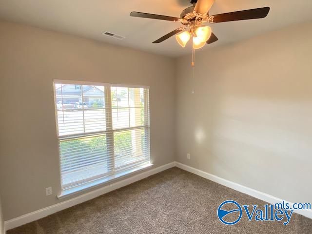 311 River Rock Drive, Madison, AL 35756