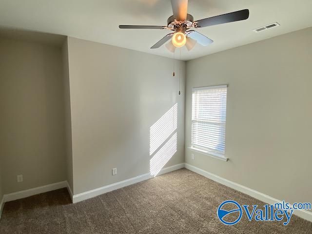 311 River Rock Drive, Madison, AL 35756