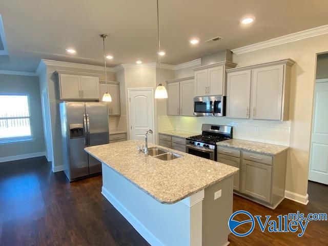 311 River Rock Drive, Madison, AL 35756
