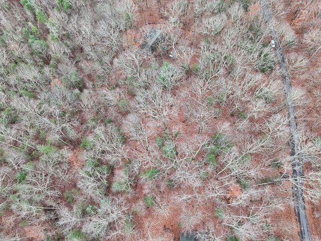 Tract 3 Wilmar Circle, Blairsville, GA 30512