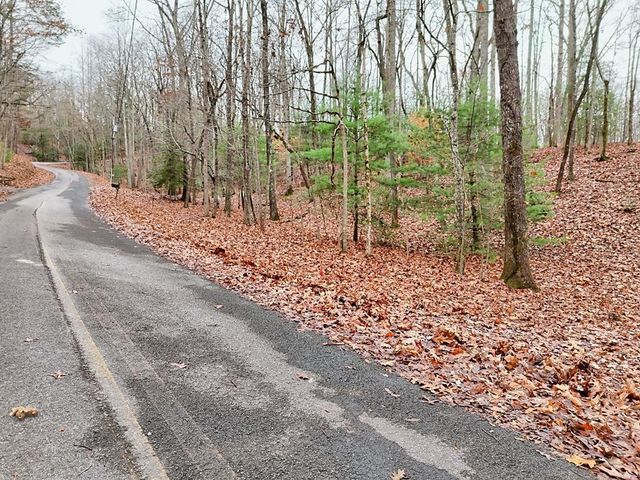 Tract 3 Wilmar Circle, Blairsville, GA 30512