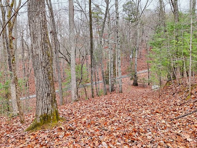 Tract 3 Wilmar Circle, Blairsville, GA 30512