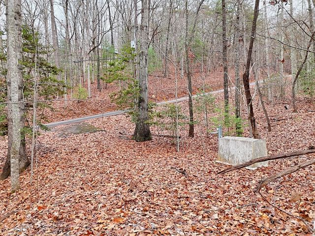 Tract 3 Wilmar Circle, Blairsville, GA 30512