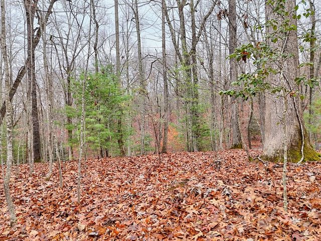 Tract 3 Wilmar Circle, Blairsville, GA 30512