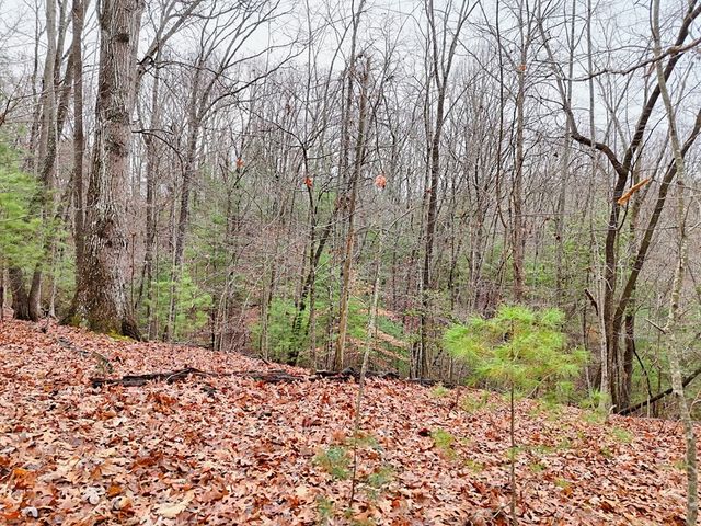 Tract 3 Wilmar Circle, Blairsville, GA 30512