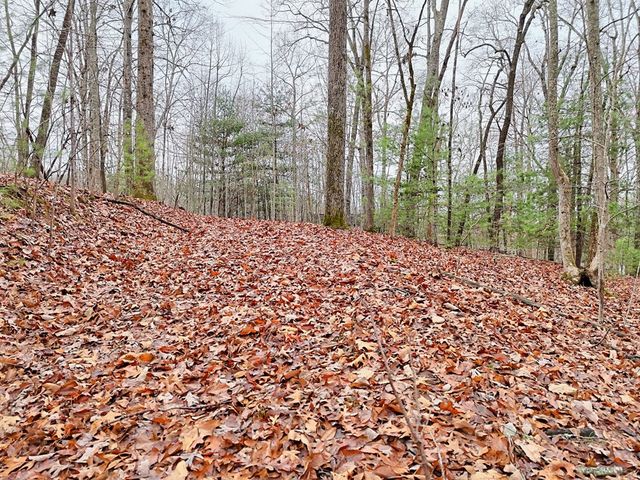 Tract 3 Wilmar Circle, Blairsville, GA 30512