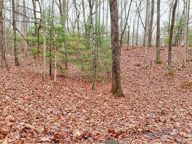 Tract 3 Wilmar Circle, Blairsville, GA 30512