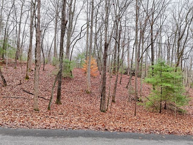 Tract 3 Wilmar Circle, Blairsville, GA 30512