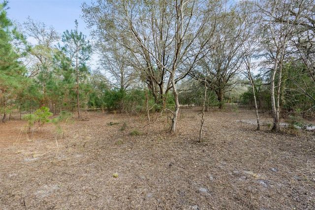 12264 NE 139TH PLACE, Fort Mc Coy, FL 32134