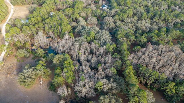 12264 NE 139TH PLACE, Fort Mc Coy, FL 32134