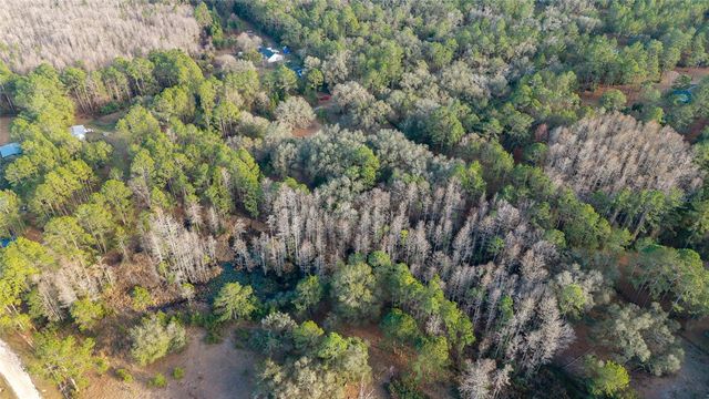 12264 NE 139TH PLACE, Fort Mc Coy, FL 32134