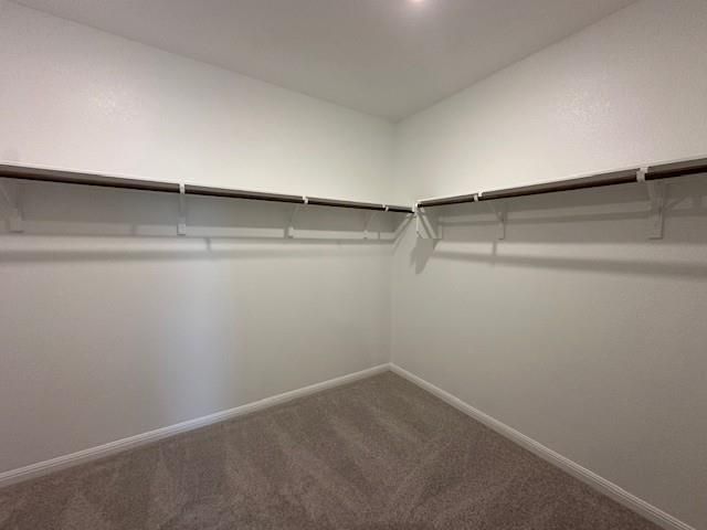 12402 Purple Prairie LN, Buda, TX 78610