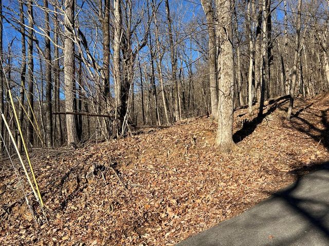 0 Sassafras Court, Jasper, GA 30143