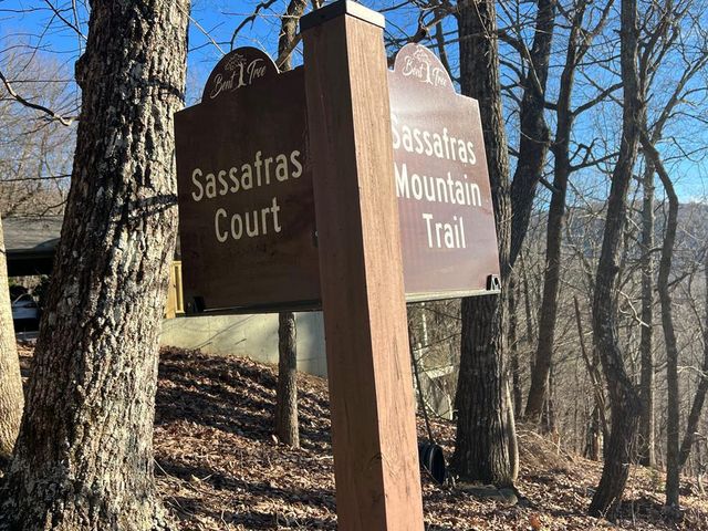0 Sassafras Court, Jasper, GA 30143