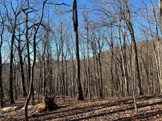 0 Sassafras Court, Jasper, GA 30143