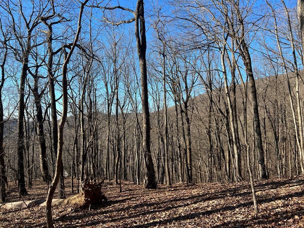 0 Sassafras Court, Jasper, GA 30143