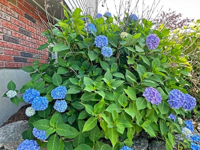 6 Brownson Ter, Boston, MA 02130