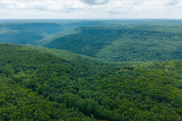 1517 Laurel Lake Dr Drive, Monteagle, TN 37356