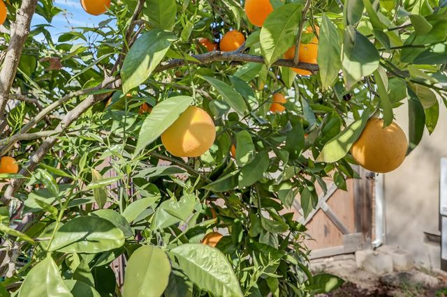 6016 Homesweet Way, Carmichael, CA 95608