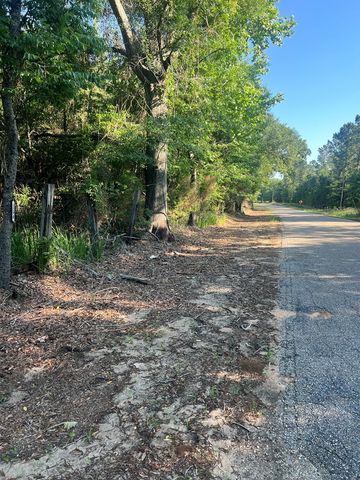1290 Guy Branch Road, Cottonwood, AL 36320