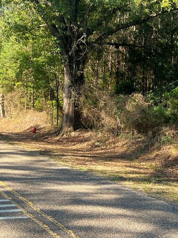 1290 Guy Branch Road, Cottonwood, AL 36320