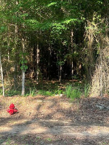 1290 Guy Branch Road, Cottonwood, AL 36320